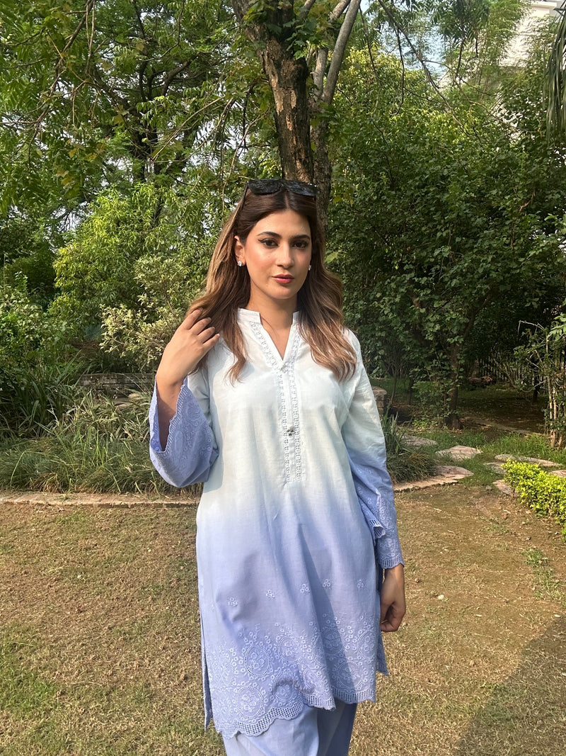 Blue | 2Pcs Embroidered - Pure Lawn |  Ready to Wear